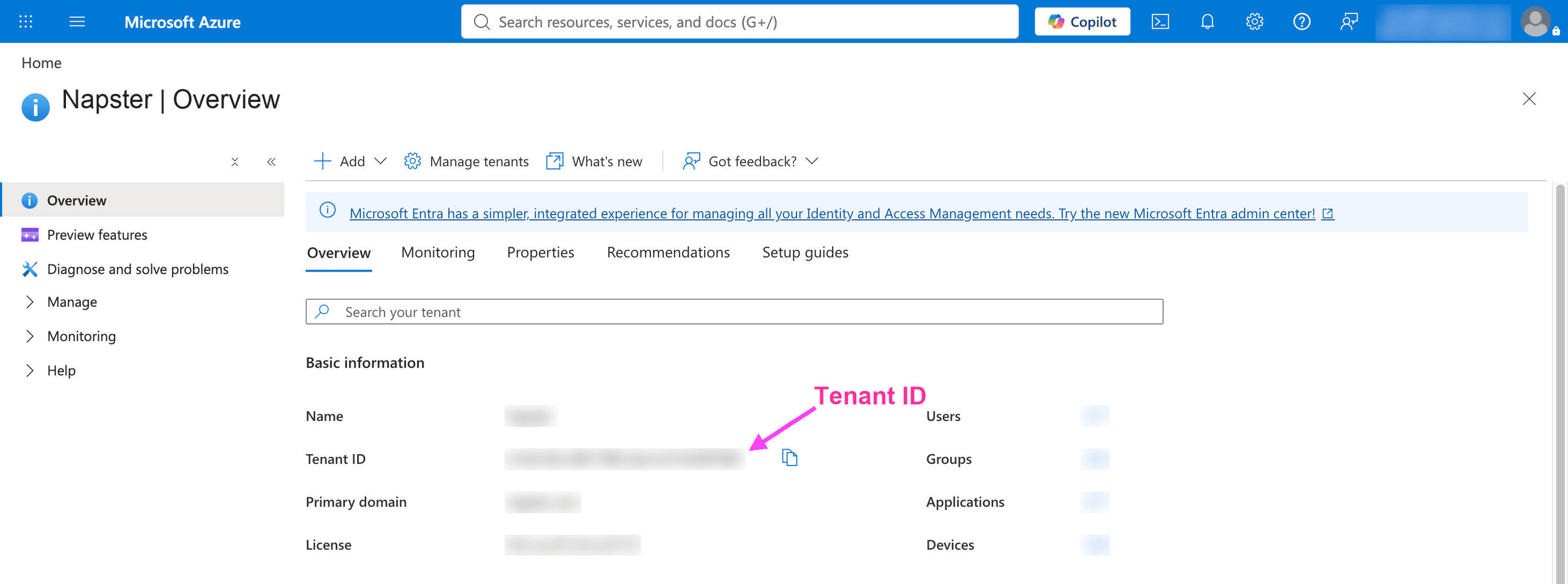 Tenant ID on the Microsoft Entra ID overview page